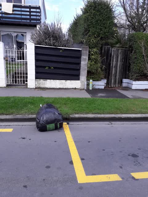 Rubbish/Recycling, a report photo