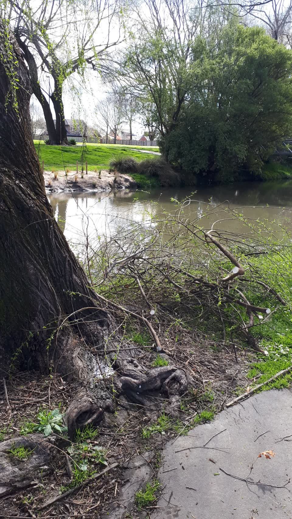 The photograph attached to this parks report