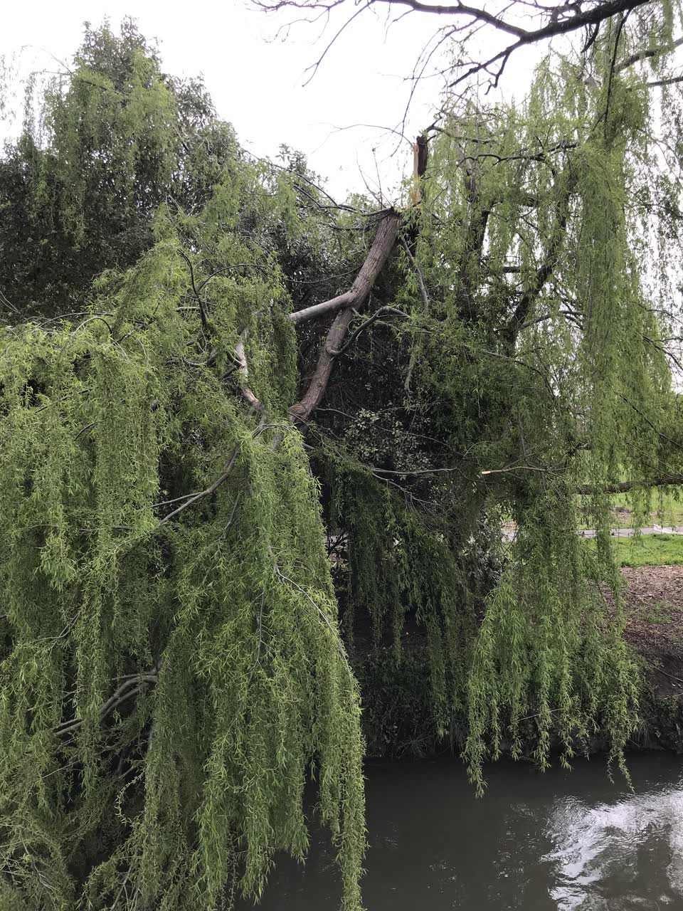 The photograph attached to this parks report