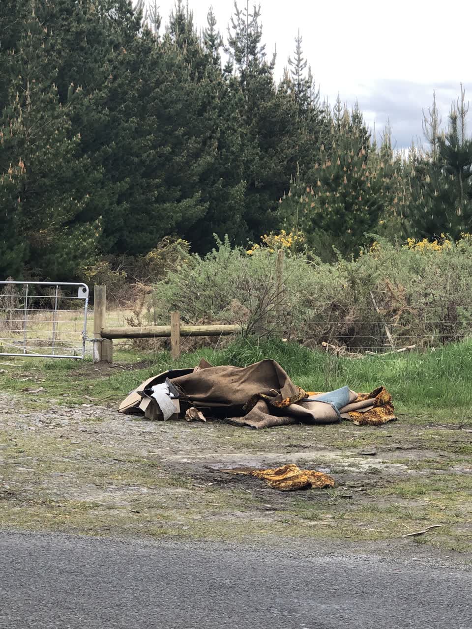 The photograph attached to this rubbish/recycling report