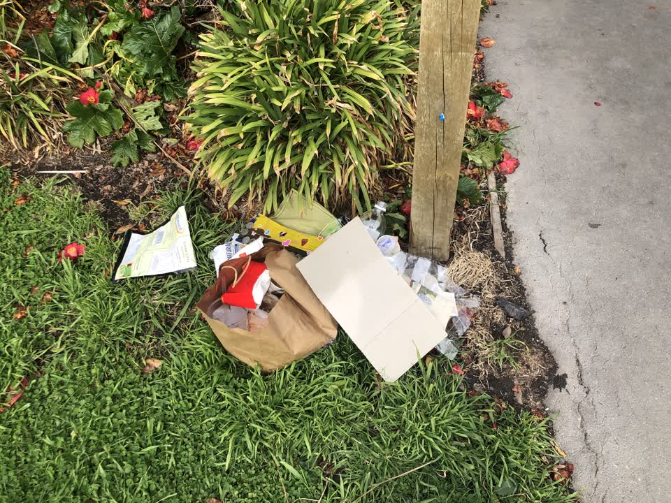 The photograph attached to this parks report