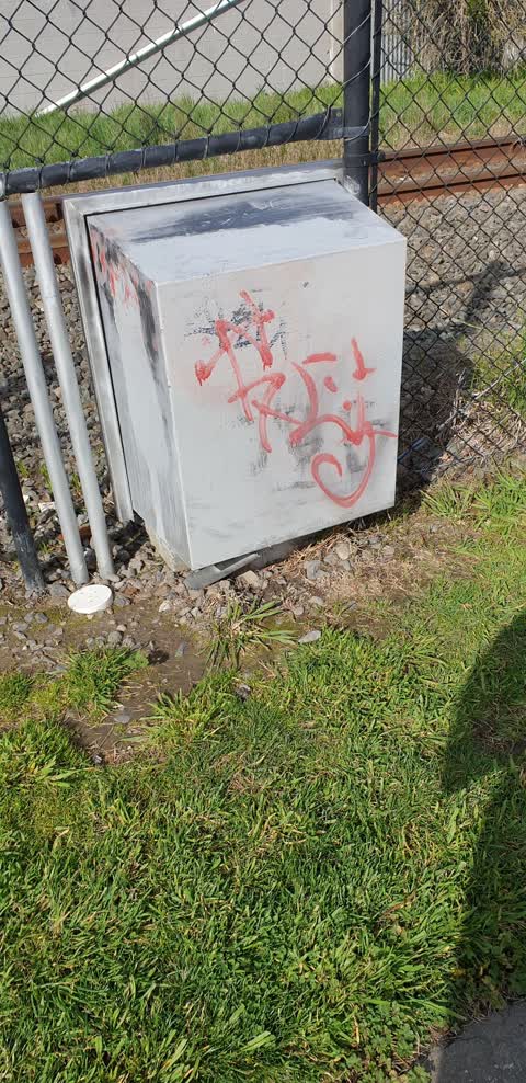 Graffiti, a report photo