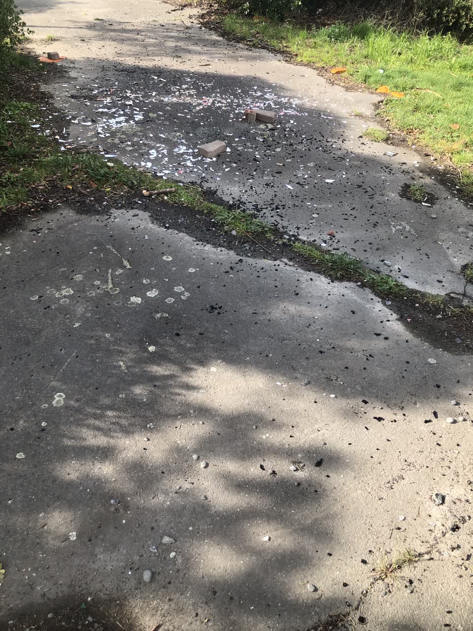 The photograph attached to this rubbish/recycling report