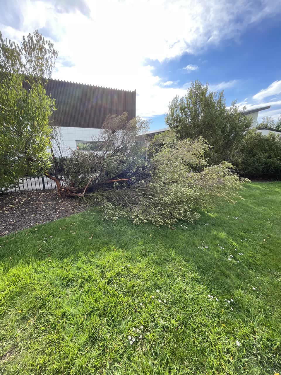 The photograph attached to this parks report