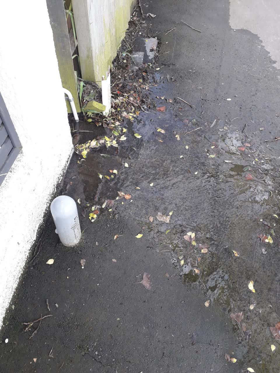The photograph attached to this water leak report