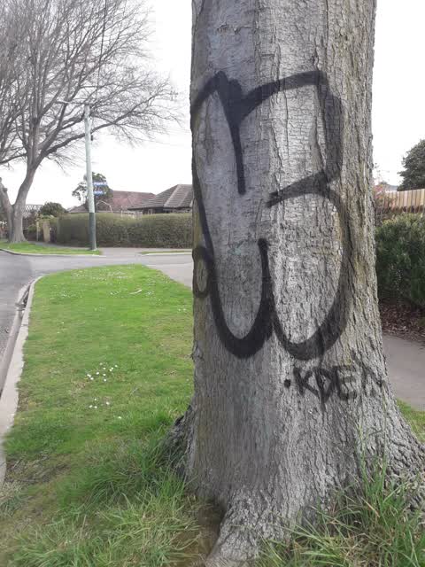 Graffiti, a report photo