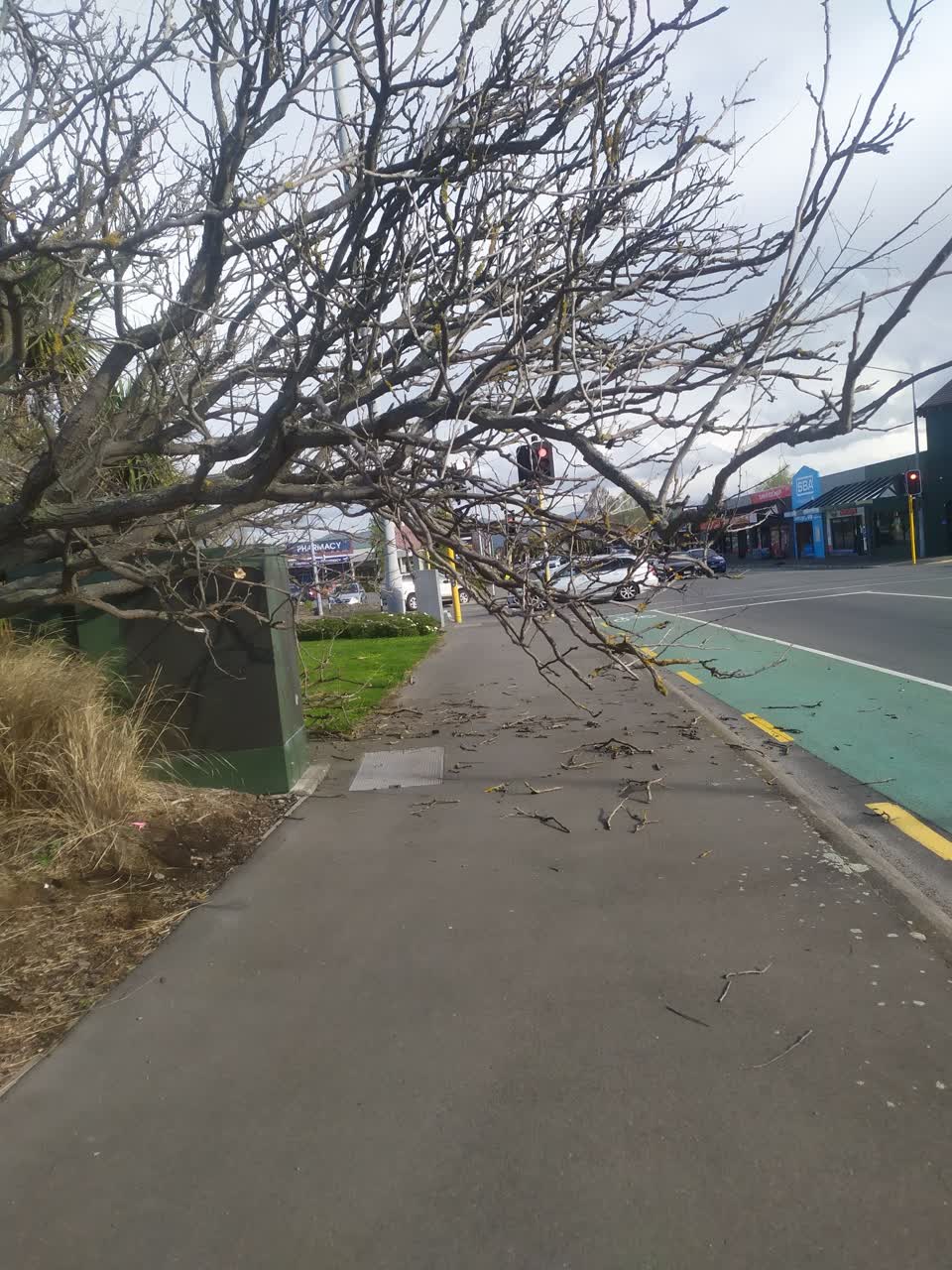 The photograph attached to this parks report