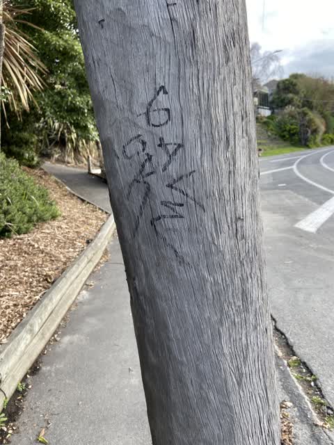 Graffiti, a report photo