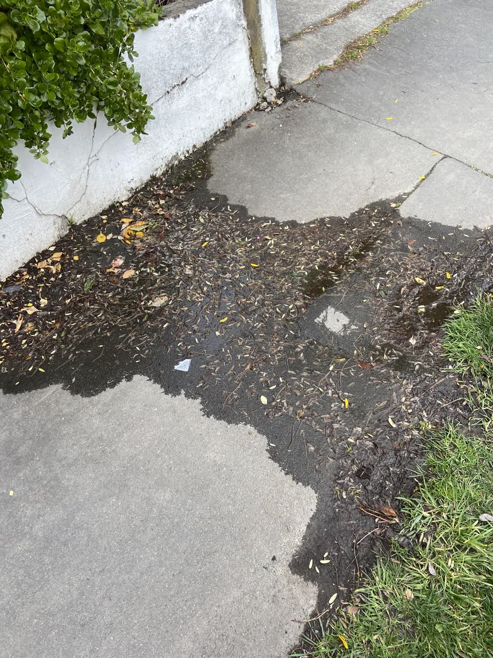 The photograph attached to this water leak report