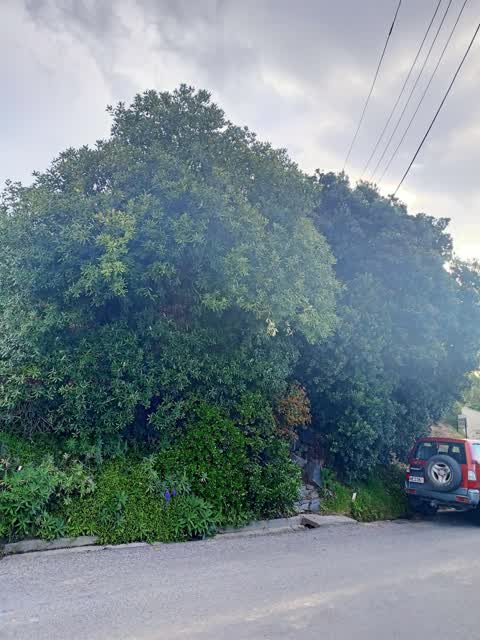 Roading/Streets, a report photo