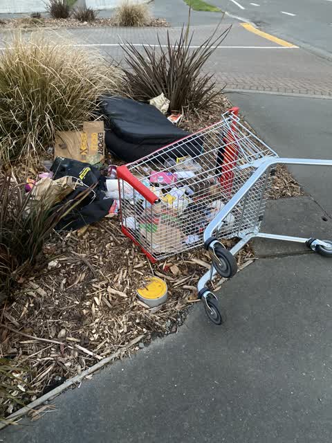 Rubbish/Recycling, a report photo