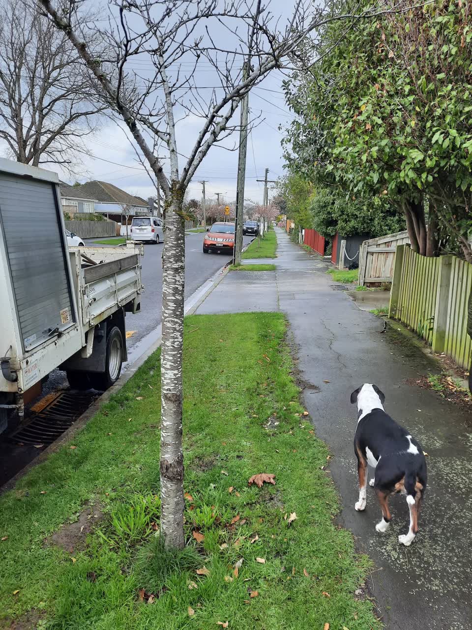 The photograph attached to this parks report
