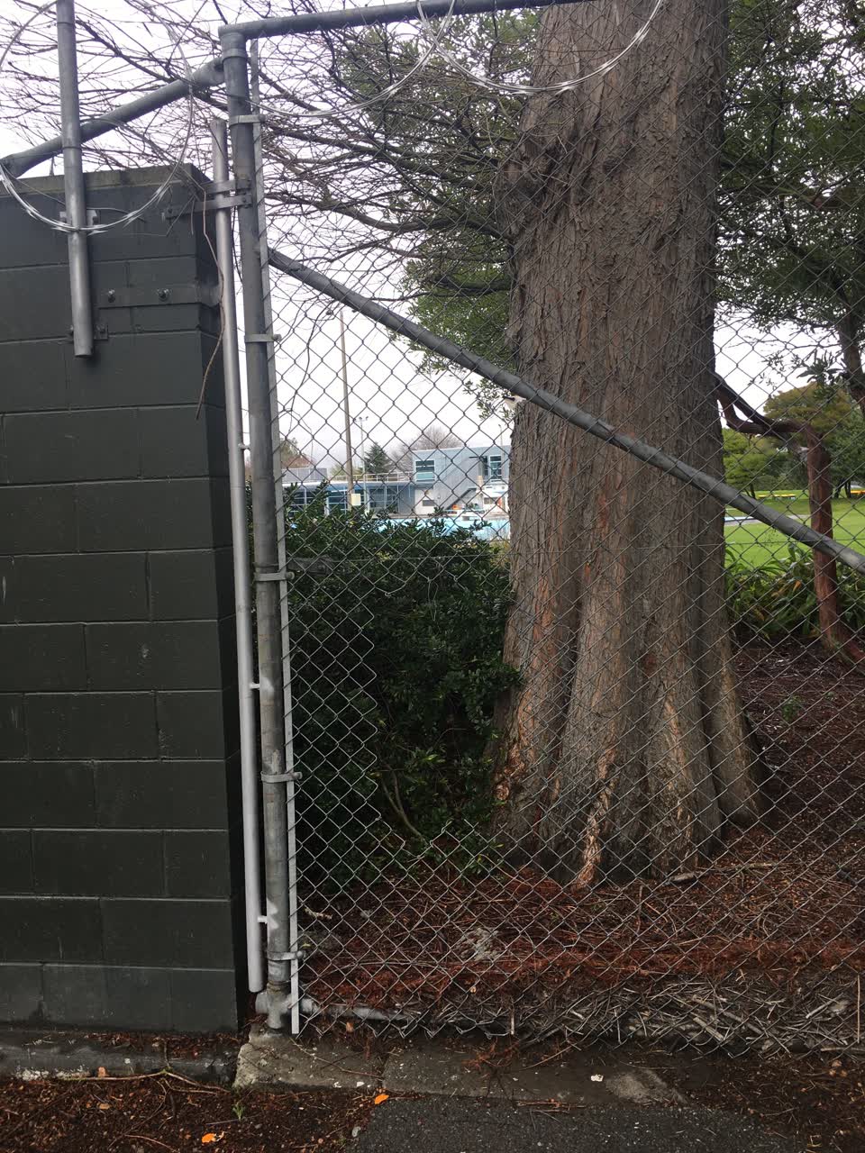 The photograph attached to this parks report