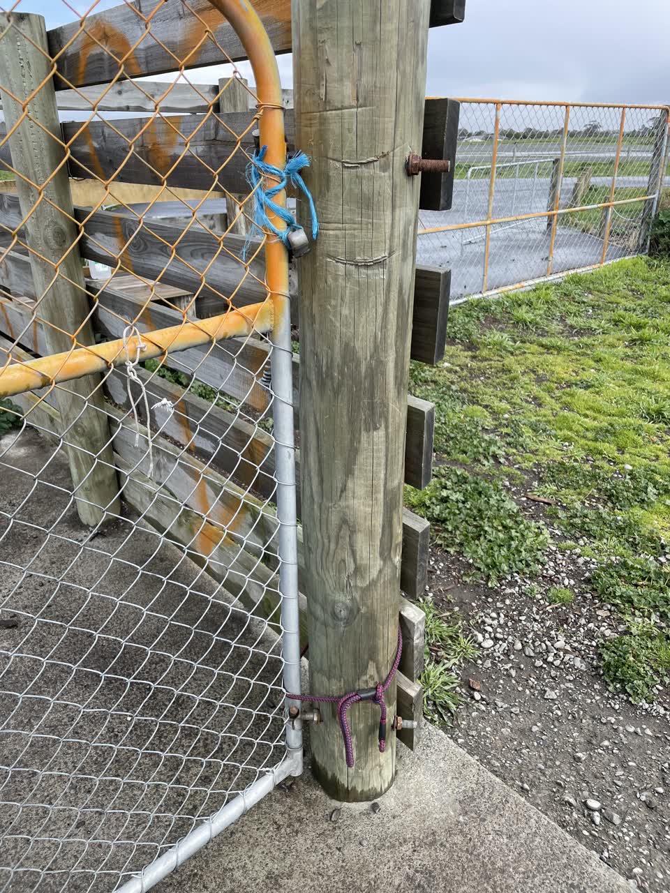 The photograph attached to this parks report