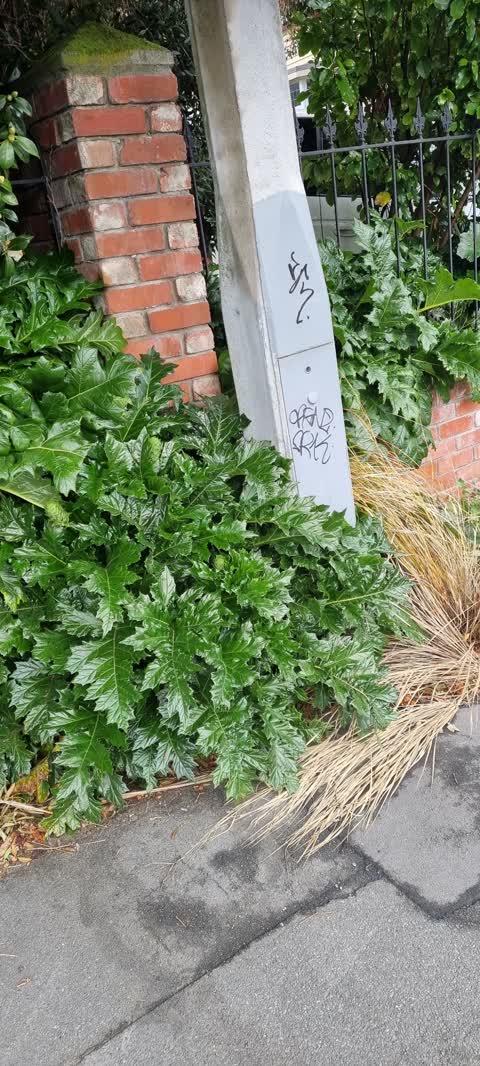 Graffiti, a report photo