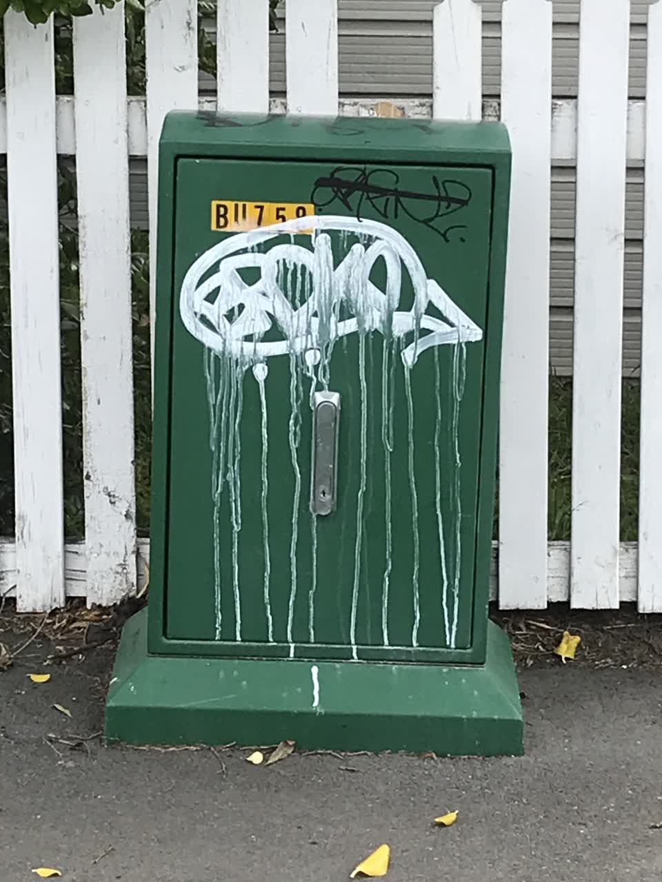 The photograph attached to this graffiti report