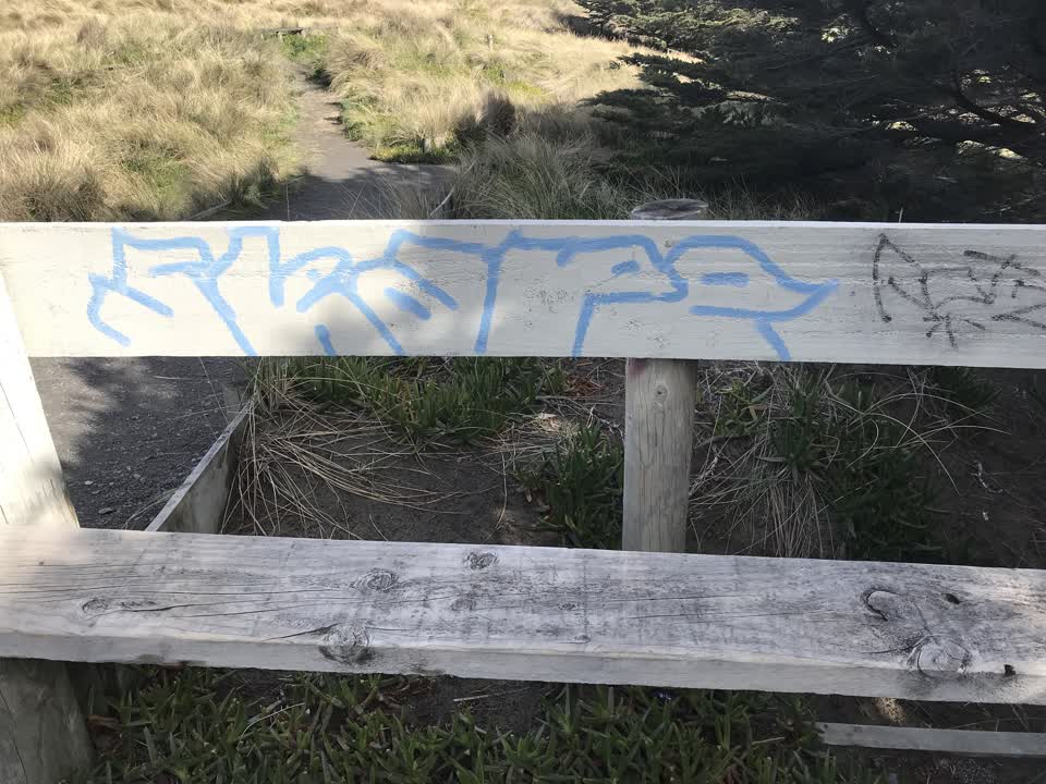 The photograph attached to this graffiti report