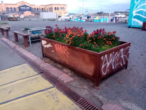 Graffiti, a report photo
