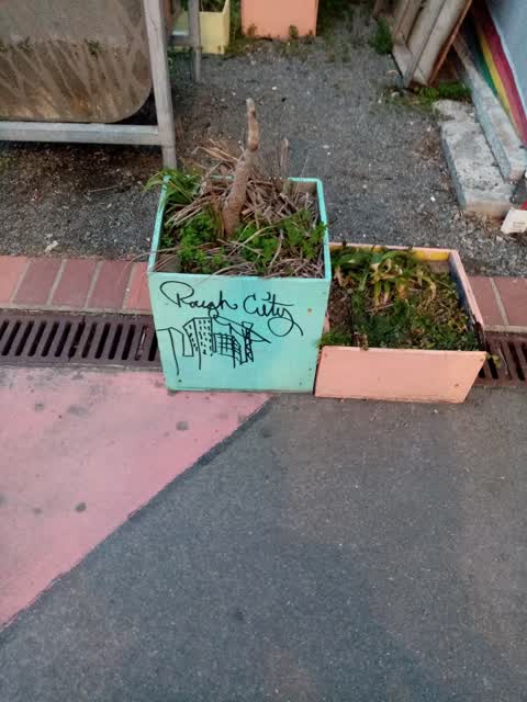 Graffiti, a report photo