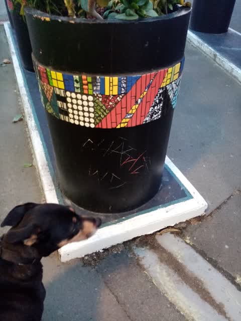 Graffiti, a report photo