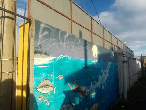 Graffiti, a report photo