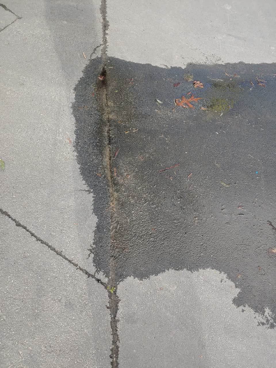 The photograph attached to this water leak report