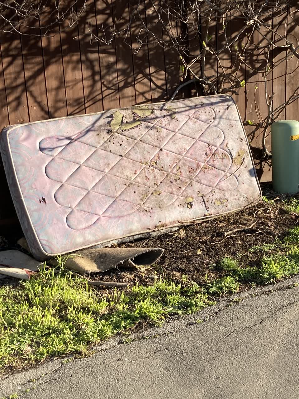 The photograph attached to this rubbish/recycling report