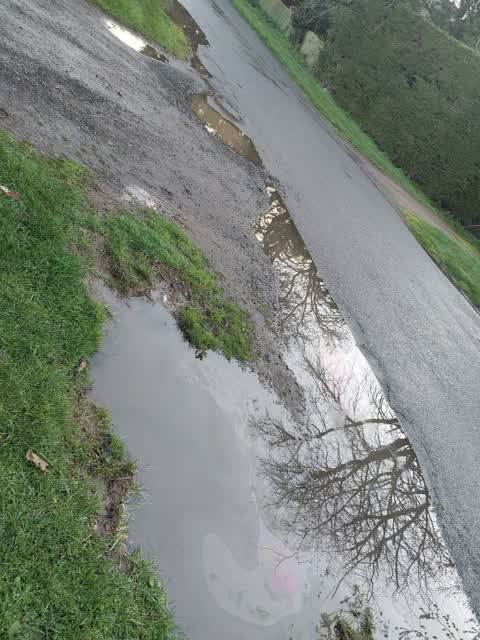 Roading/Streets, a report photo