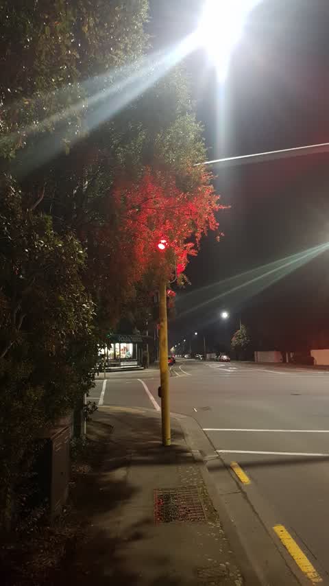 Roading/Streets, a report photo