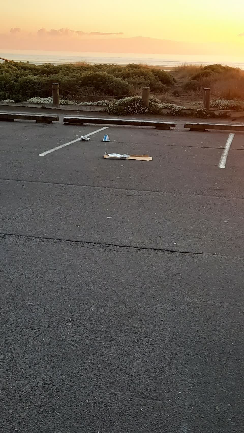 The photograph attached to this parks report