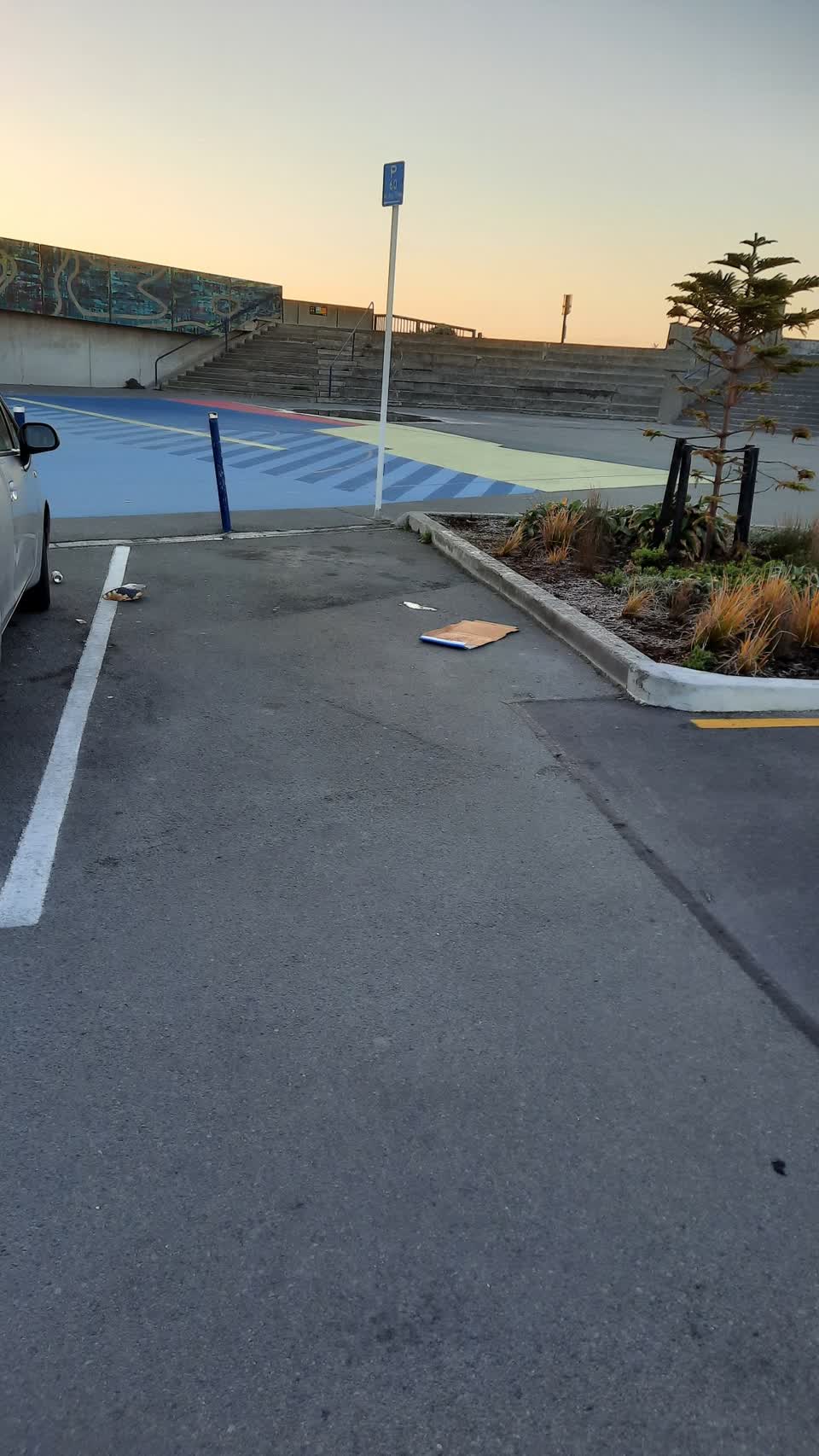 The photograph attached to this parks report