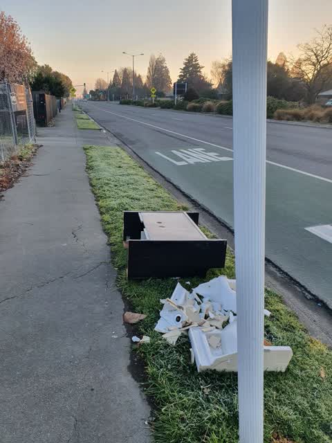 Rubbish/Recycling, a report photo
