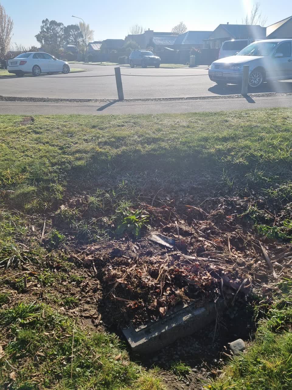 The photograph attached to this parks report