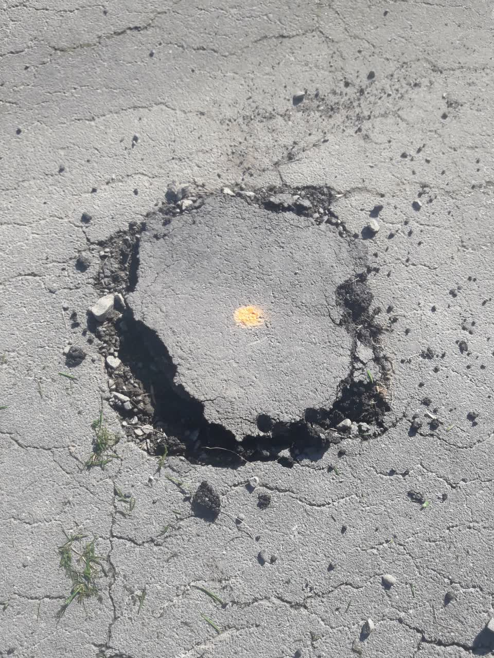 The photograph attached to this parks report