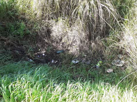 Rubbish/Recycling — a report photo