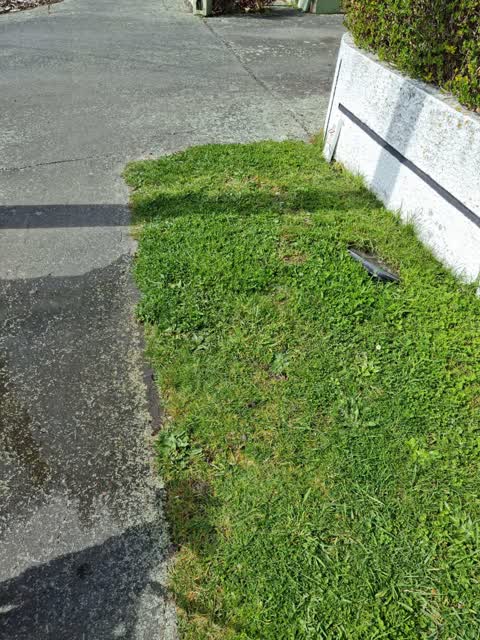 Water Leak, a report photo