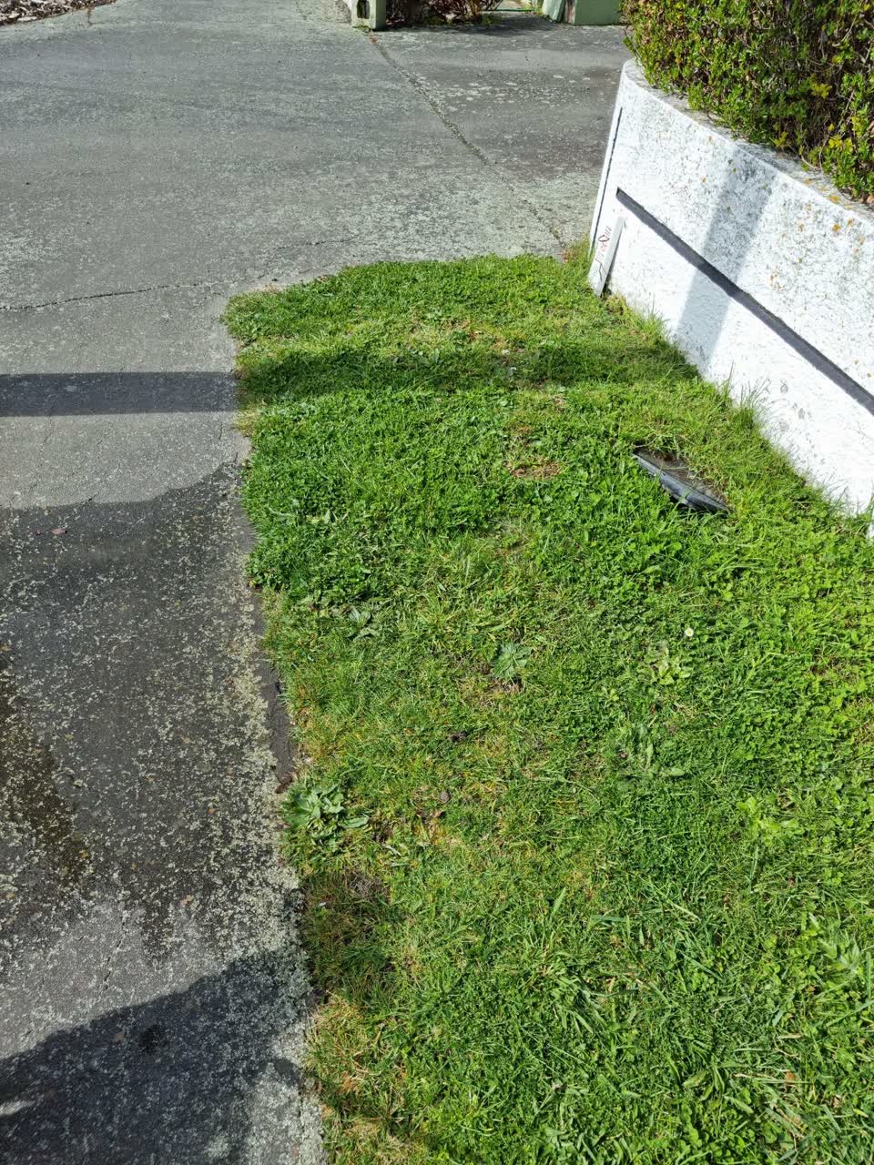 The photograph attached to this water leak report