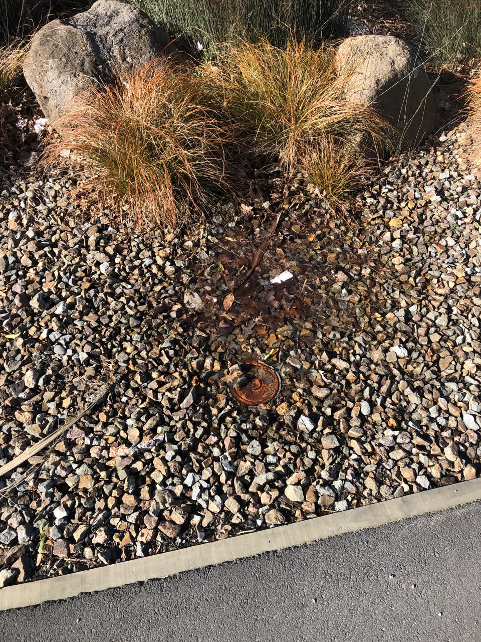 The photograph attached to this water leak report
