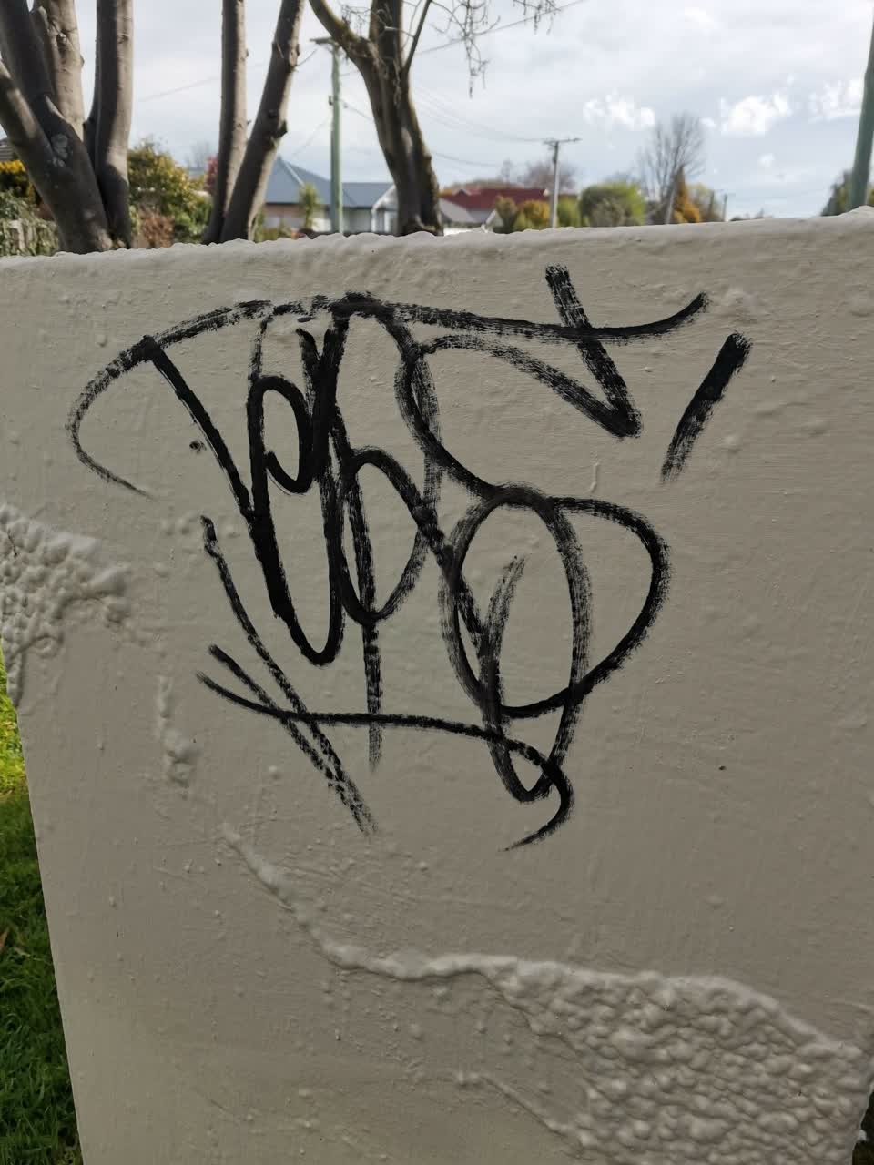 The photograph attached to this graffiti report