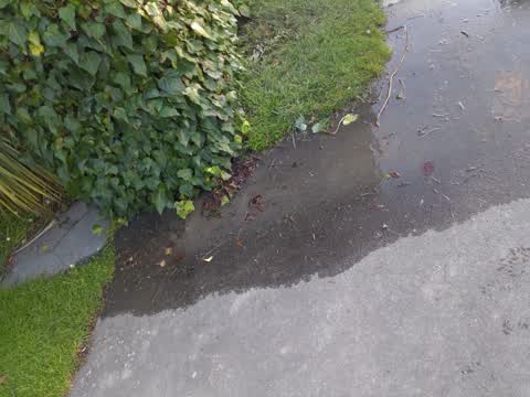 Water Leak, a report photo