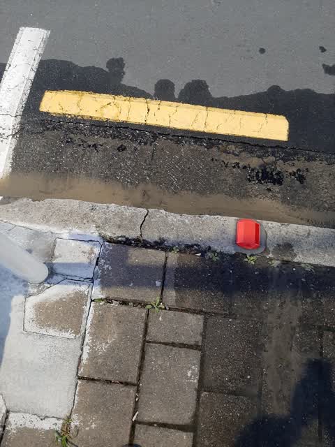 Water Leak, a report photo