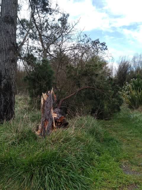 Parks, a report photo
