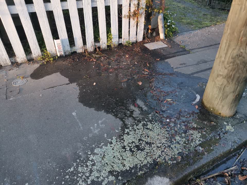 The photograph attached to this water leak report