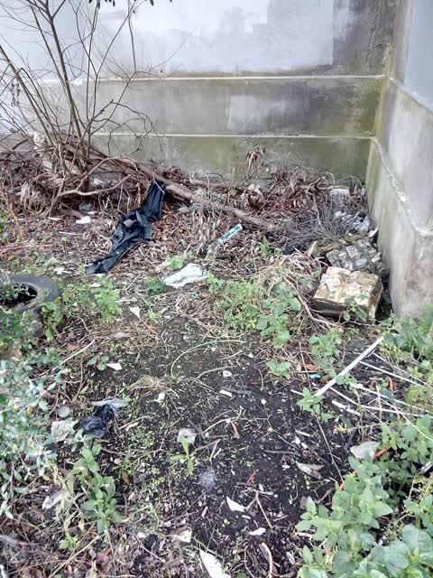 Rubbish/Recycling, a report photo