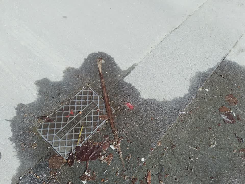The photograph attached to this water supply report