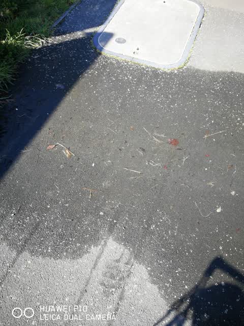 Water Leak, a report photo