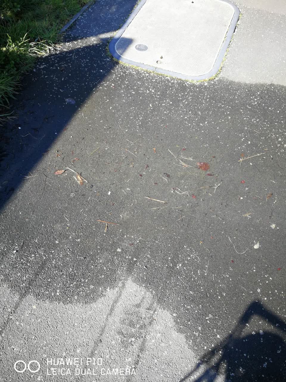 The photograph attached to this water leak report