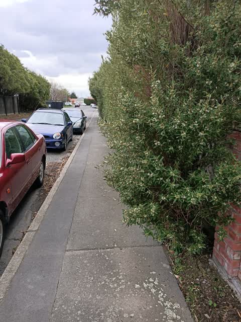Roading/Streets, a report photo