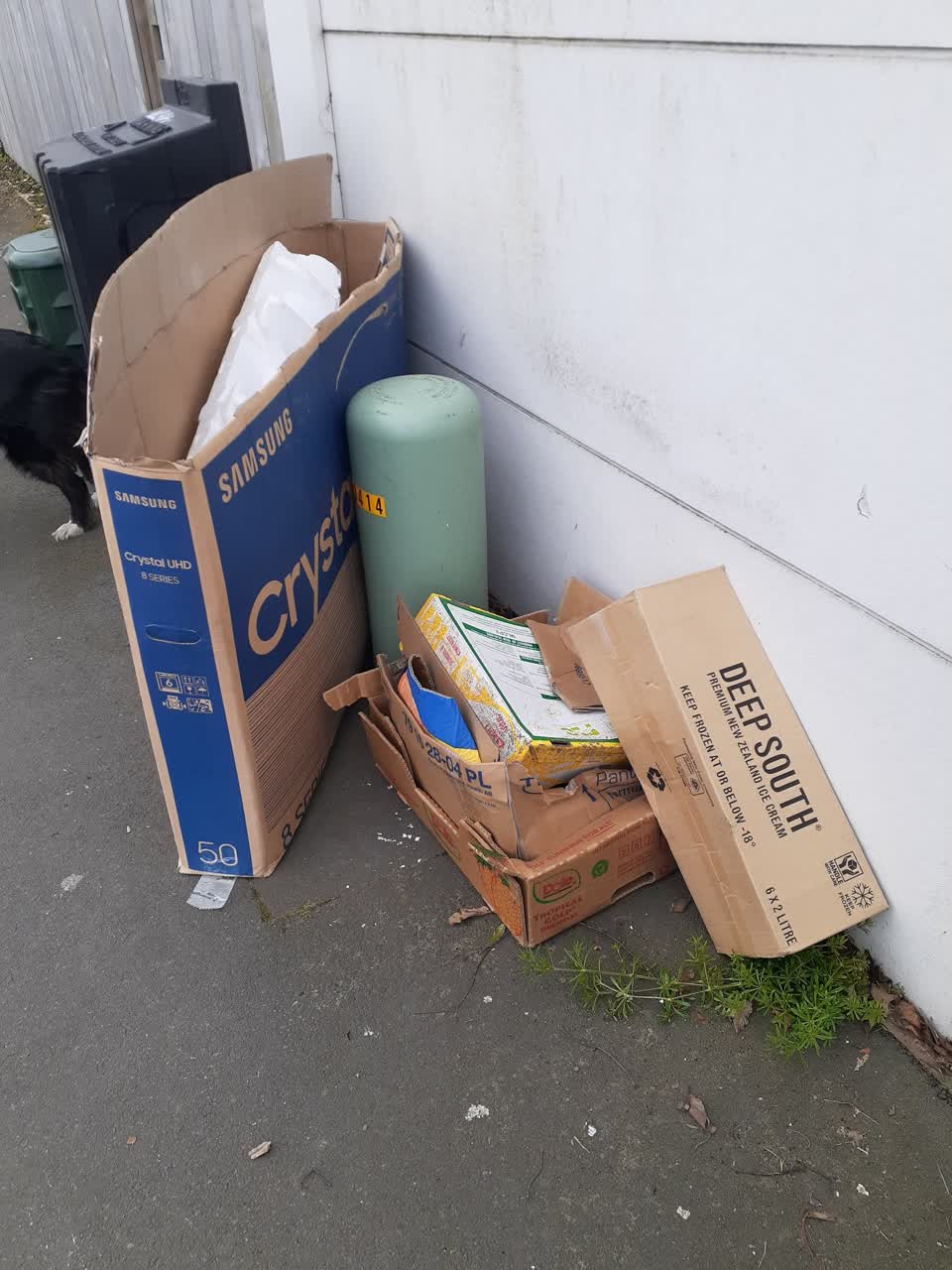 The photograph attached to this rubbish/recycling report