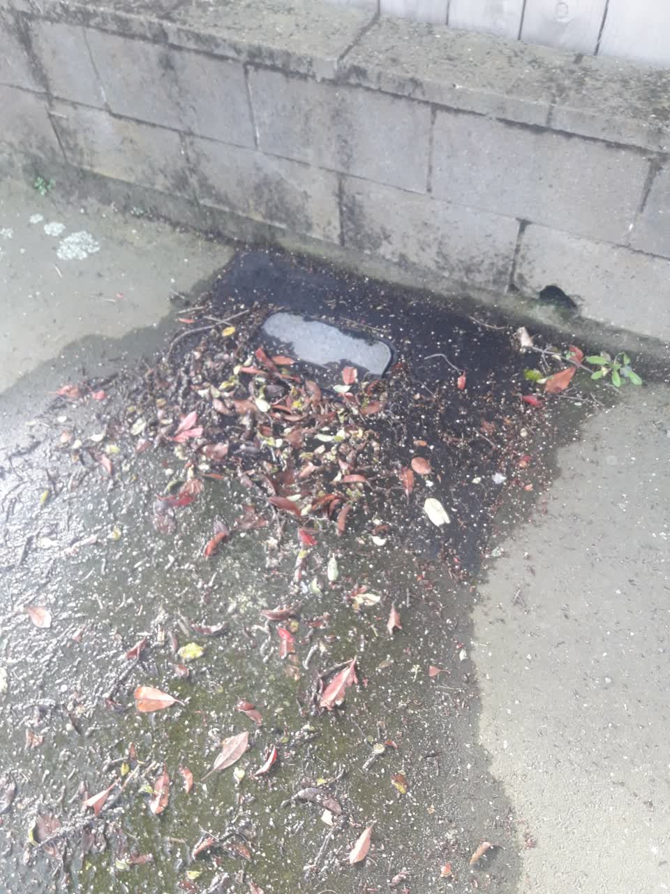 The photograph attached to this water leak report